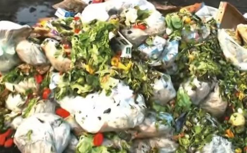 В 2017 году 33% продуктов в Израиле выбросили в мусор