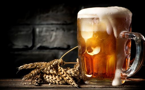 Ученые определили пользу пива