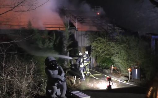 Определена причина возгорания в зоопарке в Германии