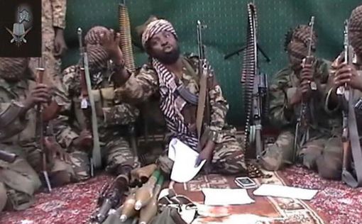 Боевики "Боко Харам" убили более 2000 человек в Нигерии