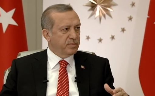 Эрдоган: только Турция может взять на себя бремя Сирии