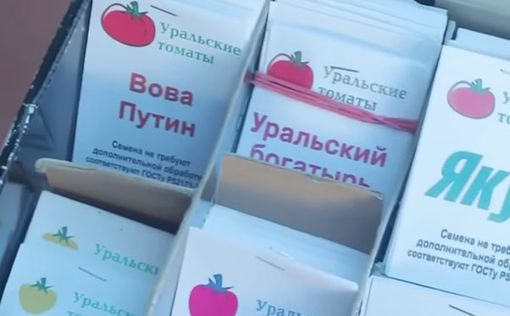 В России вывели сорт низкорослых помидоров "Вова Путин"