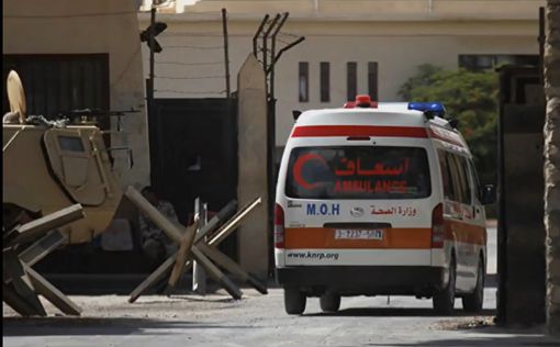 ДТП в Египте: пострадали 14 человек