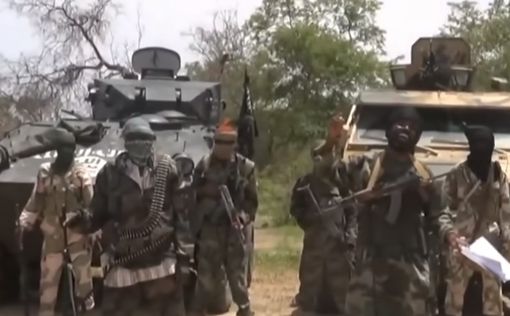 Нигер: боевики "Боко харам" похитили 15 девочек