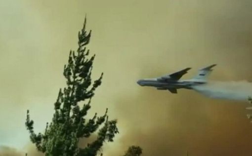 Ущерб от пожаров в Чили превысил 330 миллионов долларов