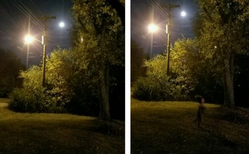 Семья сфотографировала призрака в своем дворе