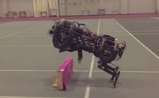 Самый быстрый робот в мире научился перепрыгивать барьеры