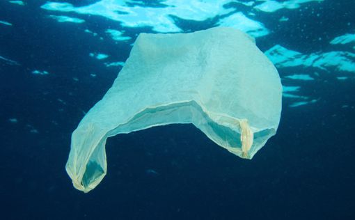 Экологи бьют в набат из-за загрязнения вод Мирового океана