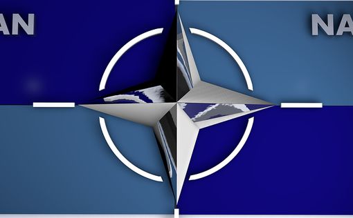НАТО на стороне Турции?
