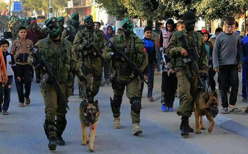 Новое оружие ХАМАСа против Израиля - боевые псы