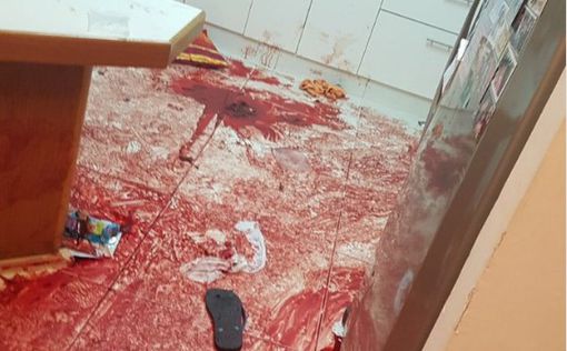 Министр Исраэль Кац: казнить террориста из Халамиш