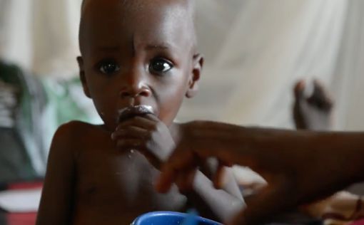 239 миллионов человек страдают от голода в Африке