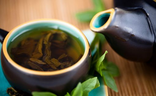 Семиклассник доказал, что зеленый чай убивает рак
