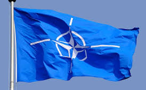 Для борьбы с терроризмом НАТО нужен Израиль