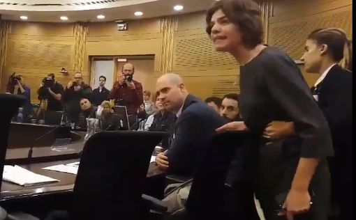 Депутат Мерец настаивает: в Кнессете сидят друзья нацистов