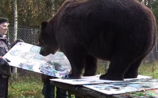 В Хельсинки открылась выставка картин, написанных медведем