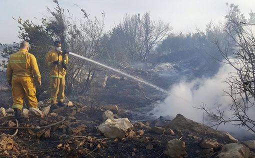 Нетаниягу благодарен палестинским пожарным за помощь