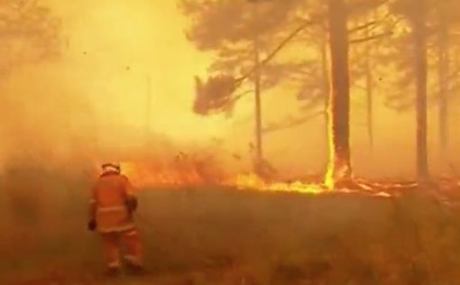 Пожары в Австралии перешли в разряд "катастрофических"