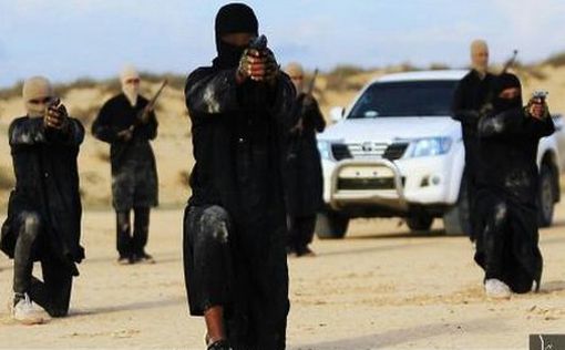 На окраине Мекки вскрыта террористическая сеть ISIS