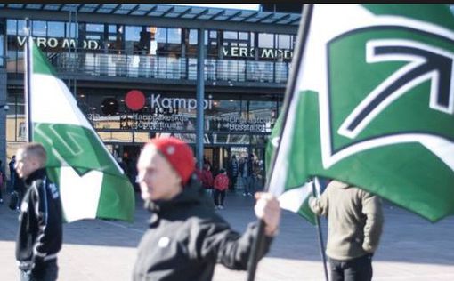 Финляндию потрясли массовые протесты против нацизма