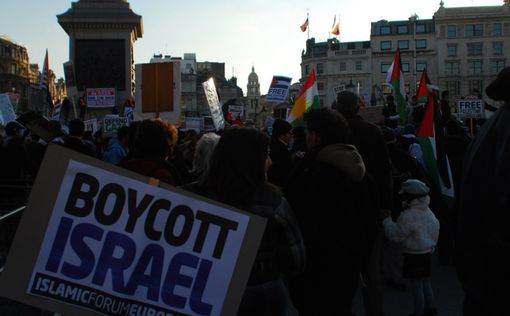 "Я - за BDS, потому что другого языка Израиль не понимает"