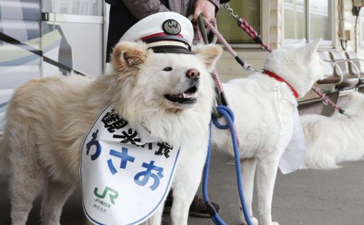 Семью пса Васао трудоустроили на ж/д станцию Adzigasawa