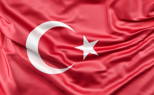 Турция готова сама сформировать "зону безопасности"