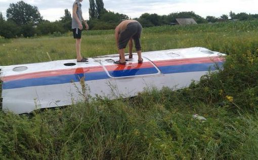 Эксперты из Нидерландов вернутся на место крушения MH17