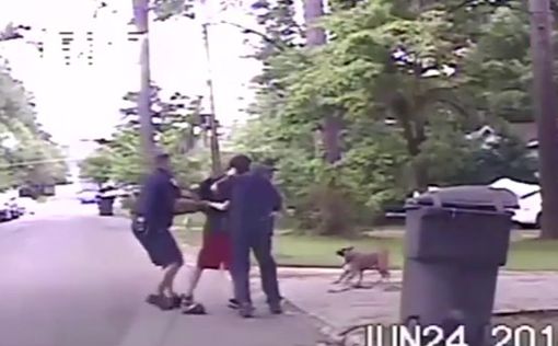 Отчаянная собака не давала полицейским арестовать хозяина