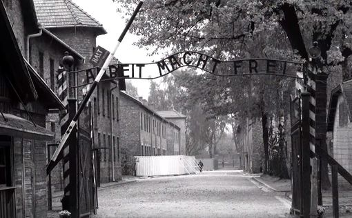 Голый протест у Освенцима: мужчин оправили в тюрьму