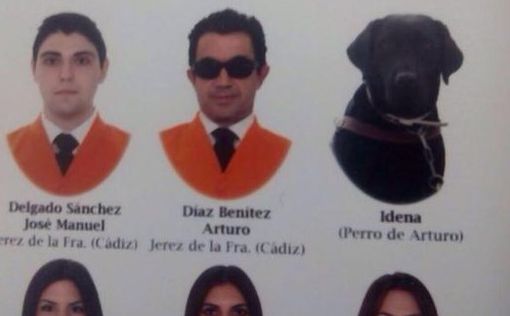 В Испании собака окончила ВУЗ с отличием