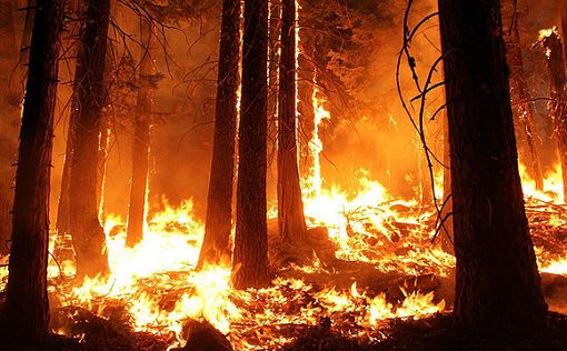 Пожары в Калифорнии: эвакуируют более 200 тыс. человек