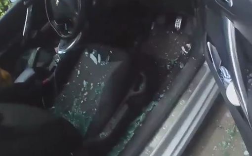 Британия: полицейский разбил окно машины - спасал собаку