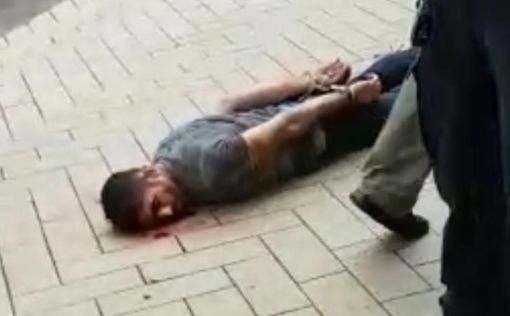 Устроивший резню в Гамбурге палестинец - не террорист