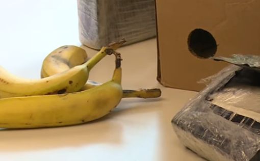 Контрабандисты спрятали кокаин в бананах - полиция нашла