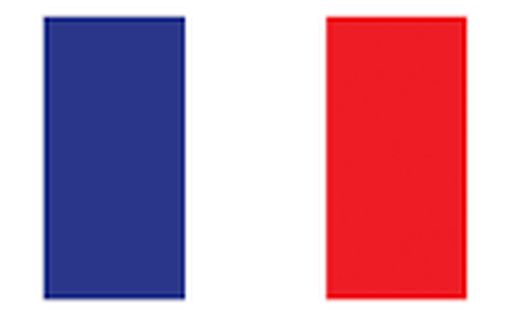 В президентских выборах во Франции участвуют 11 кандидатов