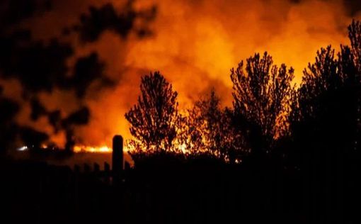 Англия: горел Ашдаунский лес - "родина Винни-Пуха"