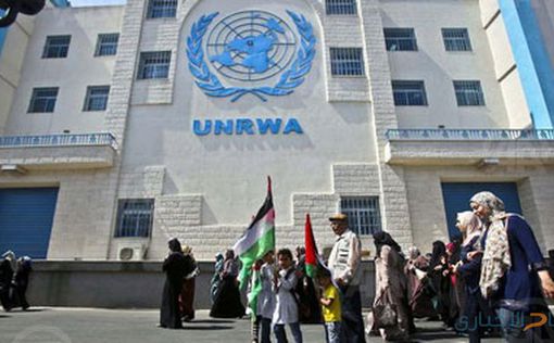 Трамп резко сократил помощь UNRWA