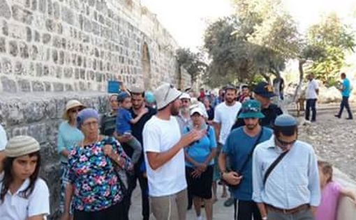Число евреев, посещающих Храмовую Гору увеличилось на 15%