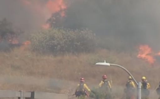 Пожары в Калифорнии забрали жизни 10 человек