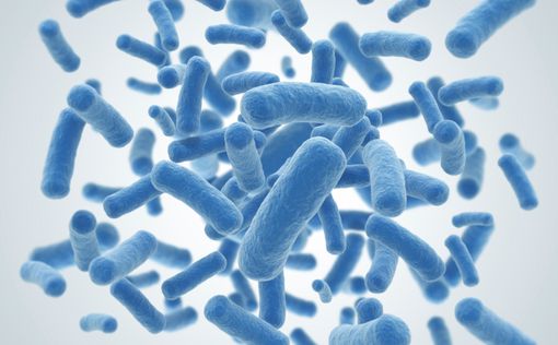 Ученые выяснили, как "общаются" бактерии