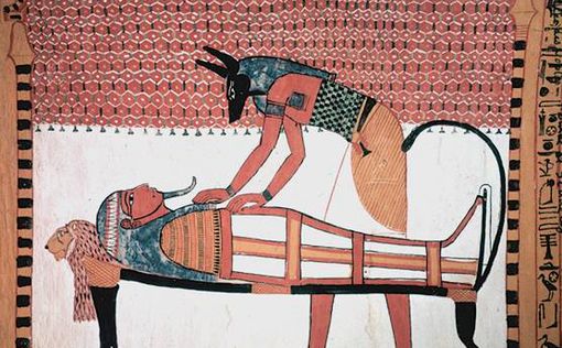 В египетской гробнице обнаружили 8 млн. мумий собак