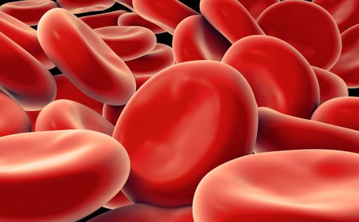 Анализ крови может рассказать сколько лет проживет человек