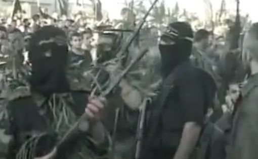 Египет освободит 81 террориста "Исламского джихада"
