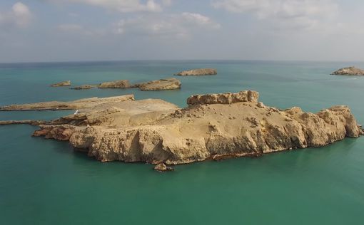 Ученые наткнулись на мертвую зону в Оманском заливе