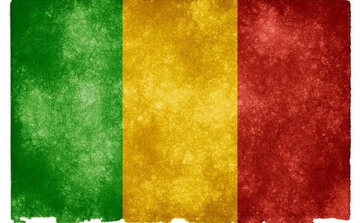 Власти Мали отказались принимать депортированых из Франции
