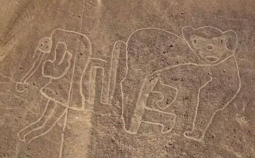 Археологи обнаружили в Перу новые наскальные изображения