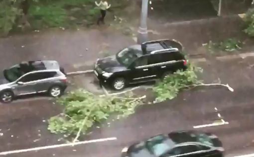 Сильнейший ураган в Москве унес жизни 11 человек