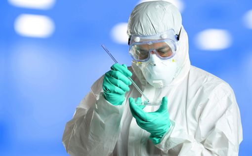 Учёные нашли средство против вируса Эбола