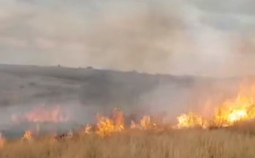 Воздушные шары из Газы вызвали 6 пожаров
